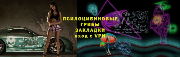 прущие грибы Няндома