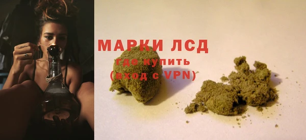 дживик Аркадак