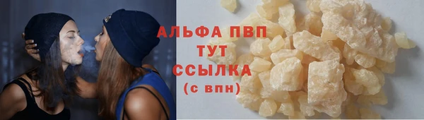 прущие грибы Няндома