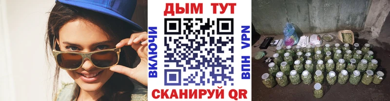 Каннабис сатива  наркошоп  Мураши 